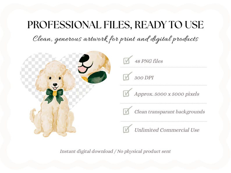 May include: A digital graphic set featuring a watercolor-style cream poodle wearing a dark green bow tie. The text reads: PROFESSIONAL FILES, READY TO USE, Clean, generous artwork for print and digital products, 48 PNG files, 300 DPI, 5000 x 5000 pixels, Clean transparent backgrounds, Unlimited Commercial Use.