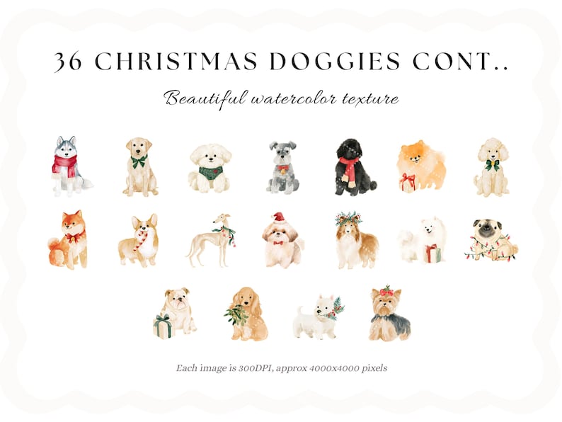 May include: A collection of 36 Christmas doggies with beautiful watercolor texture. The image displays various dog breeds decorated with festive items like red scarves, green bows, Santa hats, and holiday lights against a plain white background.