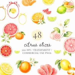 May include: A collection of watercolour illustrations featuring various citrus fruits including oranges, lemons, limes, and grapefruits, along with blossoms, leaves, and decorative frames. The text reads 48 citrus slices 300 DPI / TRANSPARENT / COMMERCIAL USE PNGS.