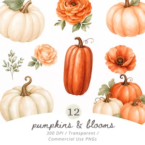 Akvarell pumpor och blommor Clipart, höstblommor PNG-paket, höstpumpa-clipart, rustika bröllopsinbjudningar, kommersiella PNG-filer
