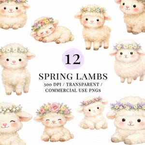 May include: Watercolor illustrations of fluffy white lambs with floral crowns. The image includes the text "12 SPRING LAMBS" and details about the PNG files. The lambs are in various poses, some standing and others lying down.