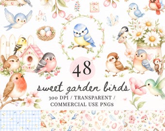 Paquete de imágenes prediseñadas PNG de pájaros en acuarela, arte de pájaros de jardín, PNG de pájaros florales vintage, petirrojo, jardinería, decoración de guardería, diario creativo, uso comercial