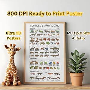 May include: A framed poster titled "REPTILES & AMPHIBIANS" with illustrations of various reptiles and amphibians. The poster is displayed on a wooden shelf next to a stuffed giraffe and a potted plant. Text on the poster includes "300 DPI Ready to Print Poster" and "Ultra HD Posters."