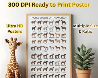 Horse Breeds Infographic Poster, Equestrian Wall Art, Horse Lover Gift (Digital Download)