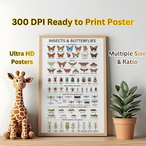 May include: A framed poster featuring various insects and butterflies, including butterflies, moths, beetles, bees, wasps, ants, dragonflies, grasshoppers, and praying mantises. The poster is labeled "INSECTS & BUTTERFLIES" and includes the text "300 DPI Ready to Print Poster" and "Ultra HD Posters."
