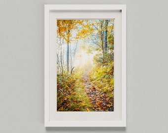 Foggy Autumn Sunrise in Shenandoah National Park  - Virginia - Fine Art Print Living Room Large Wall Art landscape trees