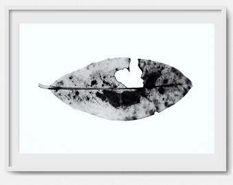 Botanical Leaf Print - Fine Art Print - Living Room Large Wall Art- Macro - Black and White - Nature