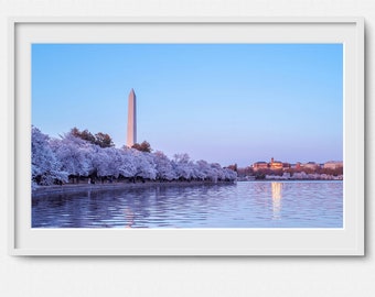 Washington Monument  and Cherry Blossoms - Fine Art Print - Living Room Large Wall Art  landscape sunrise sunset washington dc  flowers