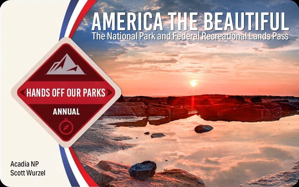 National Parks Pass, America the Beautiful Annual Pass Cover Sleeve