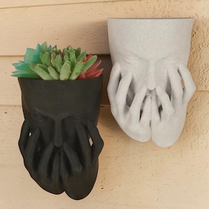 Peut inclure: Deux jardinières murales, une noire et une grise, chacune en forme de visage avec des mains couvrant la bouche et les yeux. La jardinière noire contient une plante succulente aux feuilles vertes, rouges et bleues. Les jardinières sont en matériau texturé.