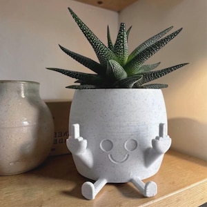 Puede incluir: Una maceta de cerámica blanca moteada con una cara sonriente y brazos que muestran el dedo medio. Contiene una planta suculenta verde. A la izquierda de la maceta hay un jarrón beige.