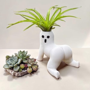 Puede incluir: Una maceta de cerámica blanca con forma de figura que gatea con expresión de sorpresa, sosteniendo una planta verde. Junto a ella, una pequeña maceta de piedra con varias suculentas.