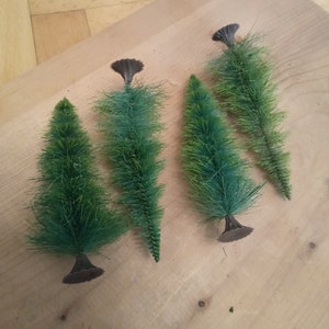 Miniature pine tree light green