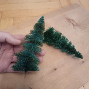 Large pine tree