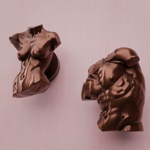 May include: Two dark brown metallic cabinet knobs shaped like human torsos. One knob depicts a frontal view of a torso, while the other shows a side profile view. Both pieces feature a smooth, reflective finish and a circular base for mounting.