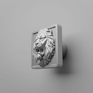 Roaring Lion Cabinet Knob, Silver Gray Square Drawer Pull