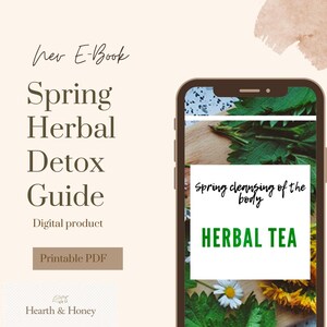 Spring Herbal Detox Guide | Nettle, Dandelion & Wild Garlic | Spring Cleansing Herbs