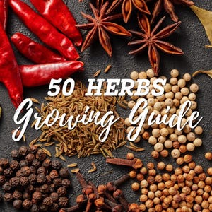 Peut inclure: Vue aérienne de diverses épices et herbes, dont des piments rouges, de la badiane, des grains de poivre, des clous de girofle et des graines de coriandre. Le texte "50 Herbs Growing Guide" est superposé à l'image.