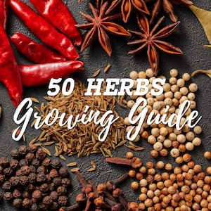 Peut inclure: Vue aérienne de diverses épices et herbes, dont des piments rouges, de la badiane, des grains de poivre, des clous de girofle et des graines de coriandre. Le texte "50 Herbs Growing Guide" est superposé à l'image.