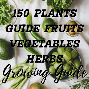 Peut inclure: Image en vue aérienne de divers produits frais, dont des haricots verts, des raisins et un avocat. Le texte superposé indique "150 Plants Guide Fruits Légumes Herbes Guide de culture."