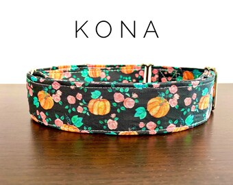 kona leash dog model