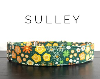 Sulley Collar, Collar&Leash Combo