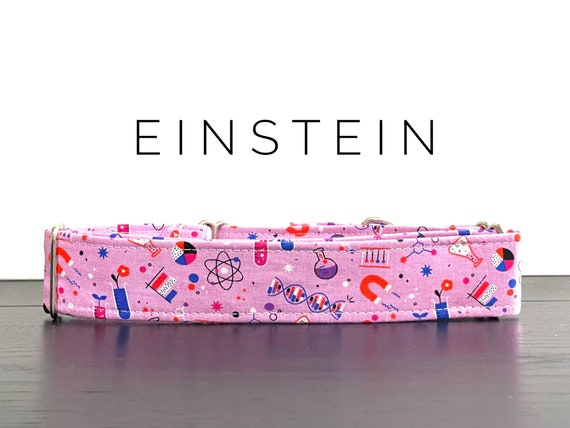 Einstein collar hotsell