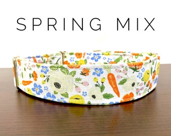 Spring Mix- Dog/Cat Collar and/or Leash