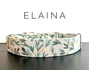 Elaina- dog/cat collar and/or leash