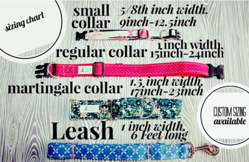 Bees on off white dogcat collar andor leash Bee Keeper