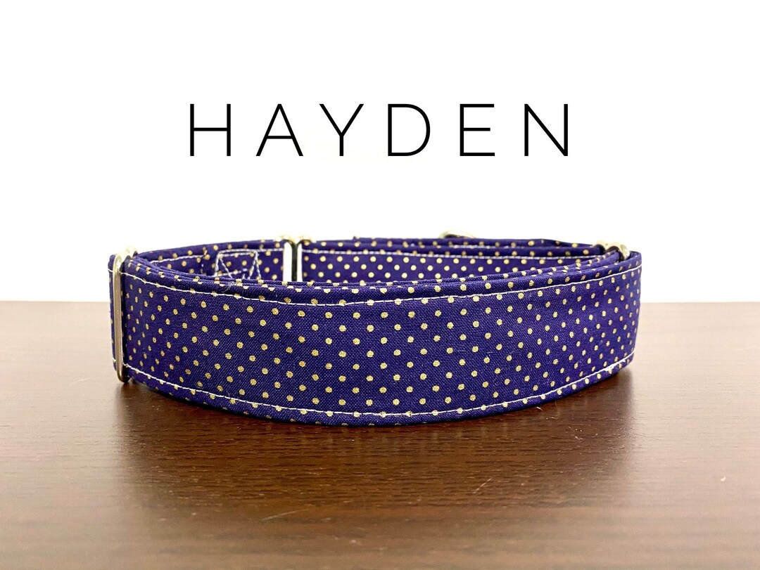 Hayden Collar, Collar&Leash Combo - Etsy.de