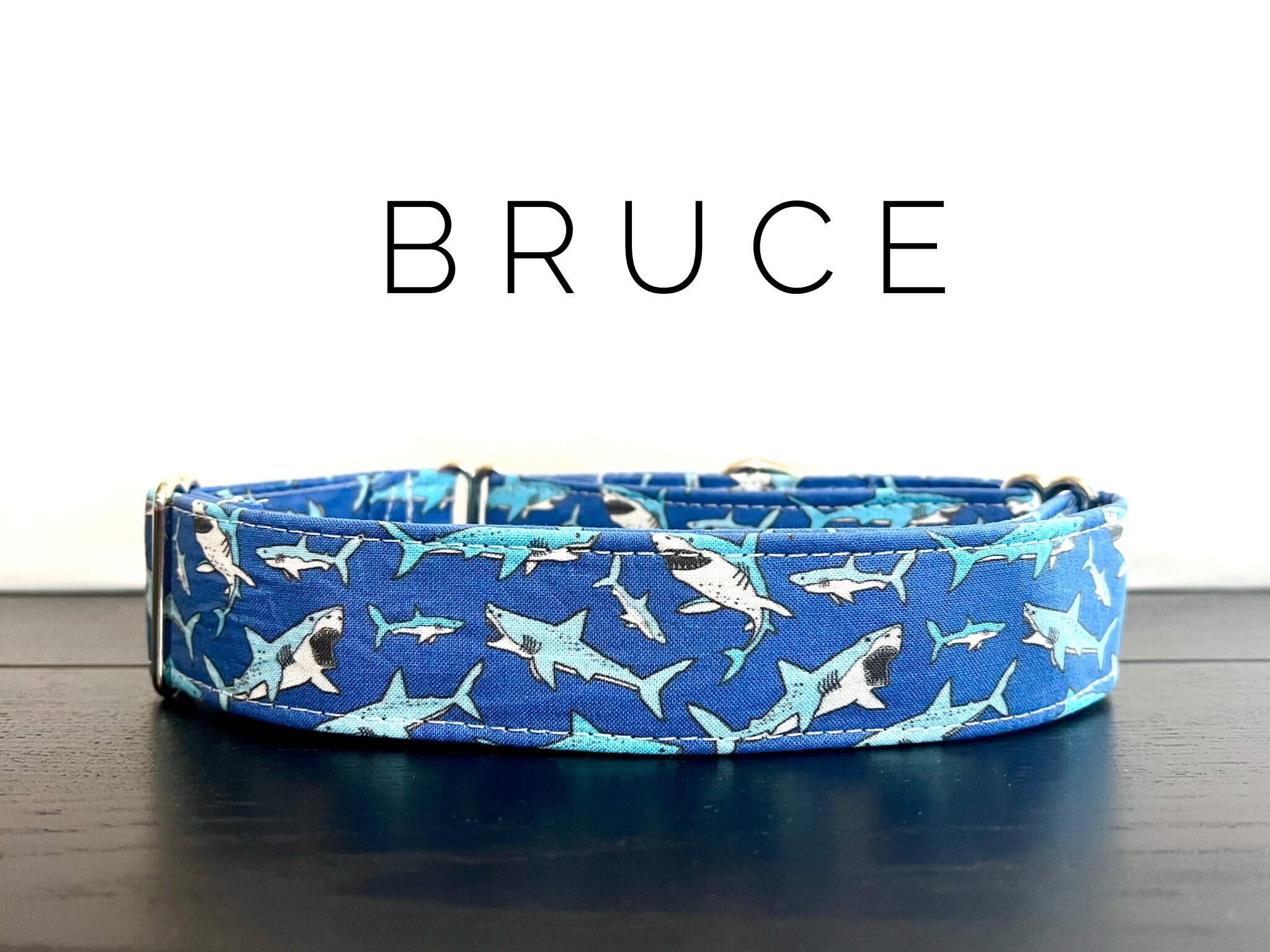 Bruce- Collar and Leash Set