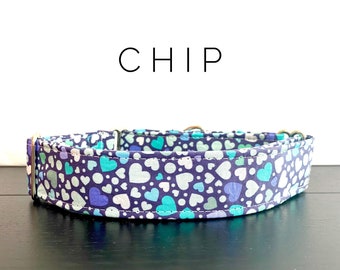 Chip- dog/cat collar and/or leash