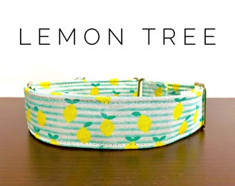 Lemon Tree- Lemons on Stripes dog/cat collar and/or leash