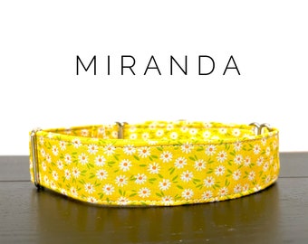 Miranda- Dog/Cat Collar and/or Leash