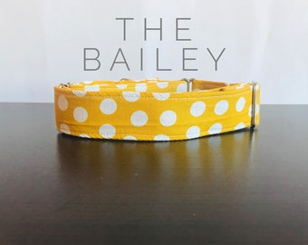 The Bailey Collar, Leash and Collar Set