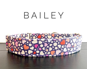 Bailey- dog/cat collar and/or leash