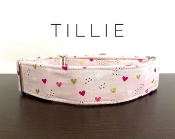 Tillie Collar, Collar&Leash Combo