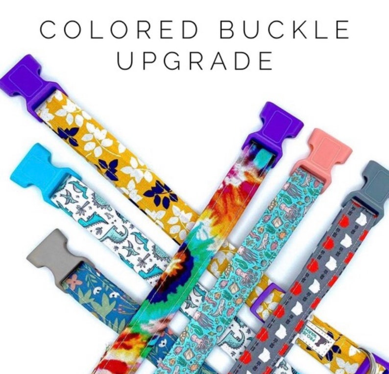 Coraline Grey with Black Polka Dots Dog/Cat Collar and/or Leash image 4