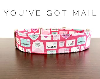 You’ve Got Mail- Hot Pink with Love Snail Mail Dog/Cat Collar and/or Leash