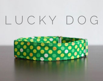 Lucky Dog Collar, Collar and Leash Set