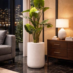 May include: A large, potted plant with broad green leaves stands in a white cylindrical planter. The plant is in a well-lit room with a dark wood cabinet, a white lamp, and a gray sofa. The floor is dark marble.