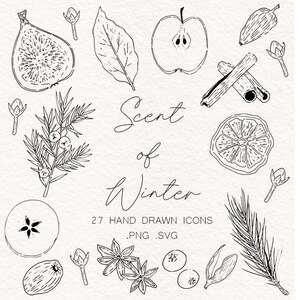 Inverno Outono PNG SVG, Outono Natureza e comida png, Arte de linha desenhada à mão clipart, Rabiscos da natureza, Especiarias de Natal, maçã, canela, zimbro,