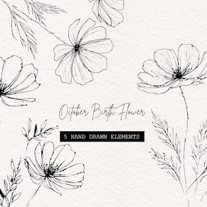 May include: A collection of black and white hand-drawn floral illustrations, featuring cosmos flowers and leaves, set against a textured, off-white backdrop. Text includes "October Birth Flower" and "5 Hand Drawn Elements".