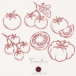 Peut inclure: Une collection de six illustrations au trait rouge de tomates sous diverses formes, incluant des tomates entières, une grappe sur tige, un quartier et une coupe transversale. Le texte "Tomatoes", "6" et "ICONS PNG SVG" est inscrit en dessous.