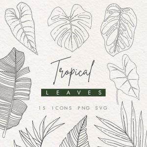 Foglie tropicali PNG SVG, foglie tropicali clipart, foglie tropicali line art, monstera, foglia di palma, contorno clipart, contorno foglie