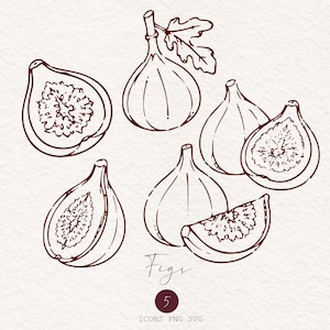 May include: A collection of dark maroon line art illustrations depicting whole and sliced figs. The set includes various angles of the fruit, some with stems and leaves, accompanied by the text "Figs", the number "5", and "ICONS PNG SVG".