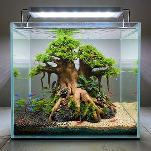 bonsai tree art Resilient Bonsai Tree Art