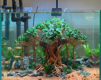 Bonsai artigianale in legno di recupero per acquario, roccia naturale, radice, decorazione per acquari.