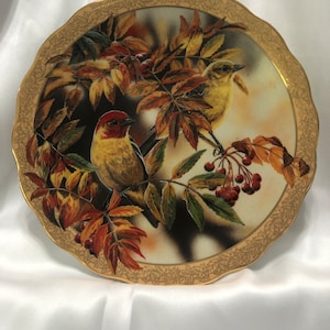 Sienna Surprise 8&#39; collector plate